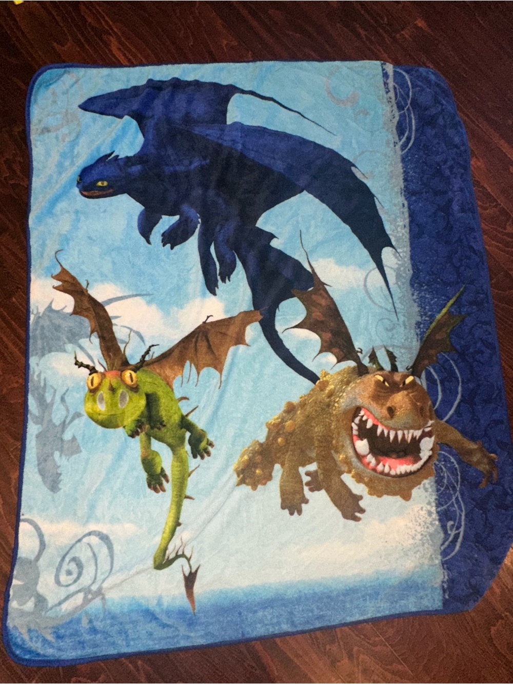 Vintage 2010 How to Train Your Dragon fleece blanket